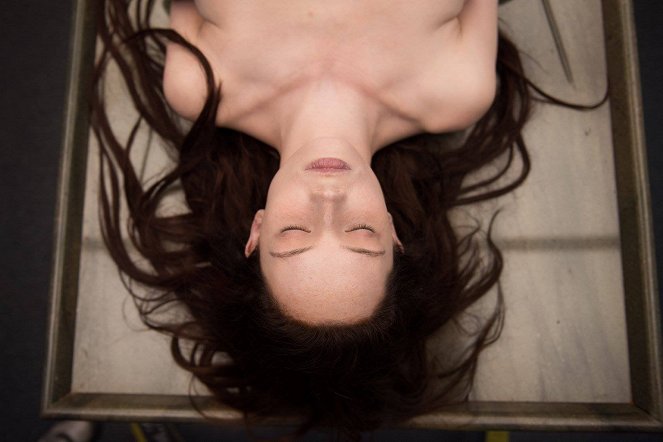 The Autopsy of Jane Doe - Filmfotos - Olwen Catherine Kelly