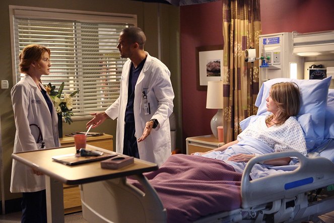 Grey's Anatomy - Season 10 - I Want You with Me - Photos - Sarah Drew, Jesse Williams, Ellen Pompeo