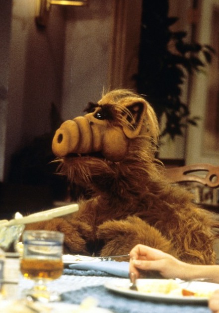 Alf, uma Coisa do Outro Mundo - Do filme