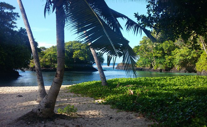 Top Secret Beaches - Kuvat elokuvasta