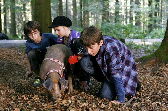 Tiere bis unters Dach - Trüffelschweine - De la película