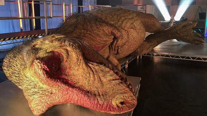 T. Rex Autopsy - Photos