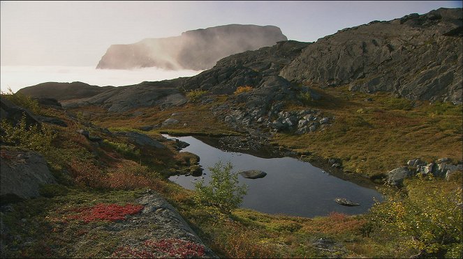 Universum: Skandinavien - Europas wilder Norden: Schweden und Norwegen - De la película