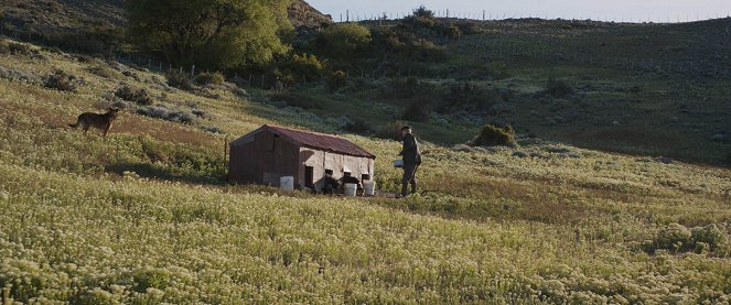 Patagonia, el invierno - Film