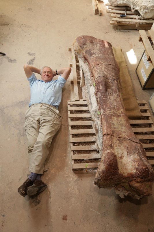 David Attenborough és az óriásdinoszaurusz - Filmfotók - David Attenborough