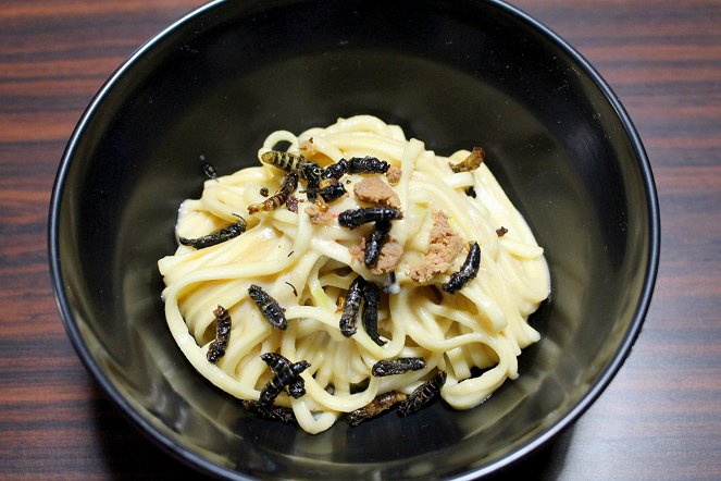 Insekten à la carte - Hornissen-Sushi in Japan - Van film
