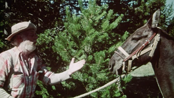 Sasquatch: The Legend of Bigfoot - Filmfotos