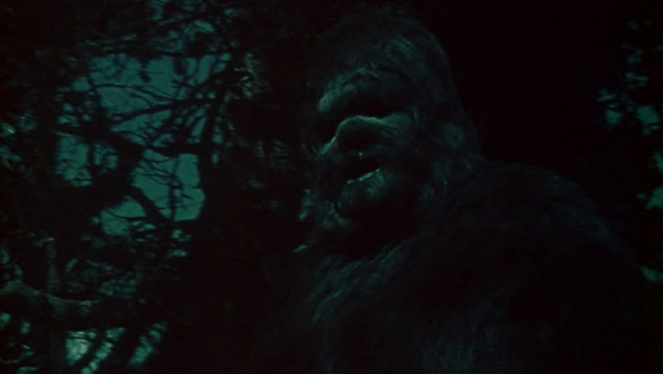 Sasquatch: The Legend of Bigfoot - Z filmu
