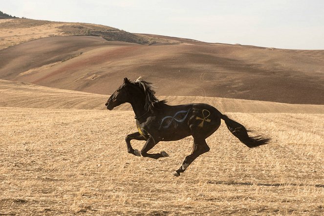 Wicher - Dzikie konie - Z filmu