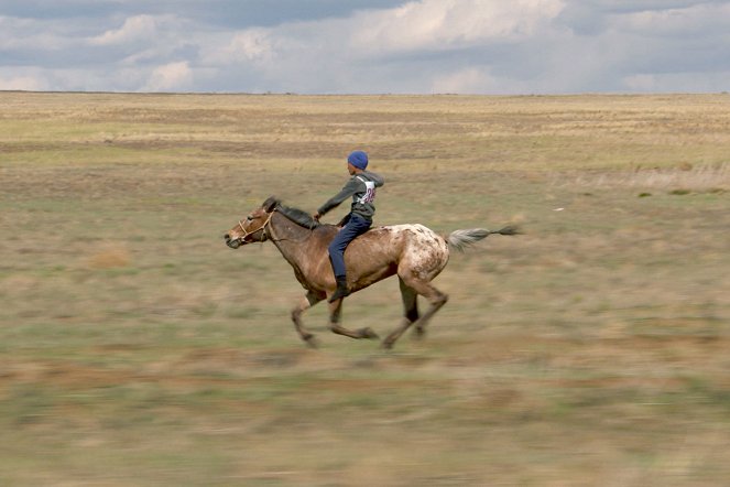 Russlands Pferde - Steppenreiter und Ackergäule - De la película