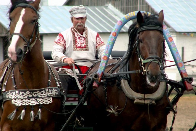 Russlands Pferde - Kämpfer und Könner - Van film