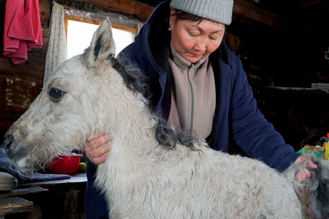 Russlands Pferde - Eisfohlen und Berghirten - Photos