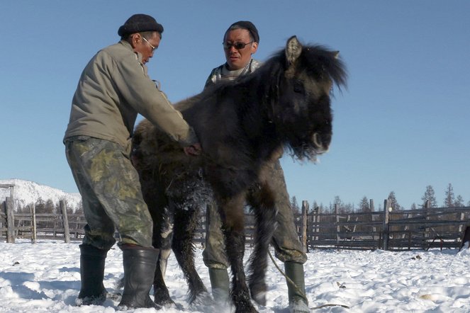 Koně velké Rusi - Eisfohlen und Berghirten - Z filmu