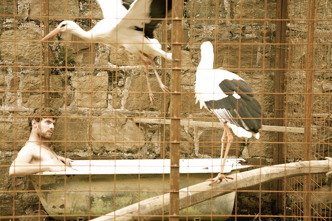 Flight of the Storks - Photos - Harry Treadaway