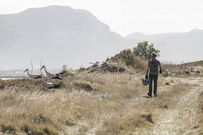 Flight of the Storks - Photos - Harry Treadaway