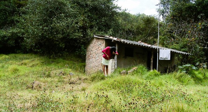 Señorita María, la falda de la montaña - Film