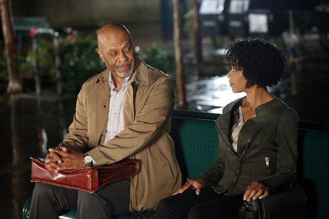 Grey's Anatomy - Fear (of the Unknown) - Photos - James Pickens Jr., Kelly McCreary