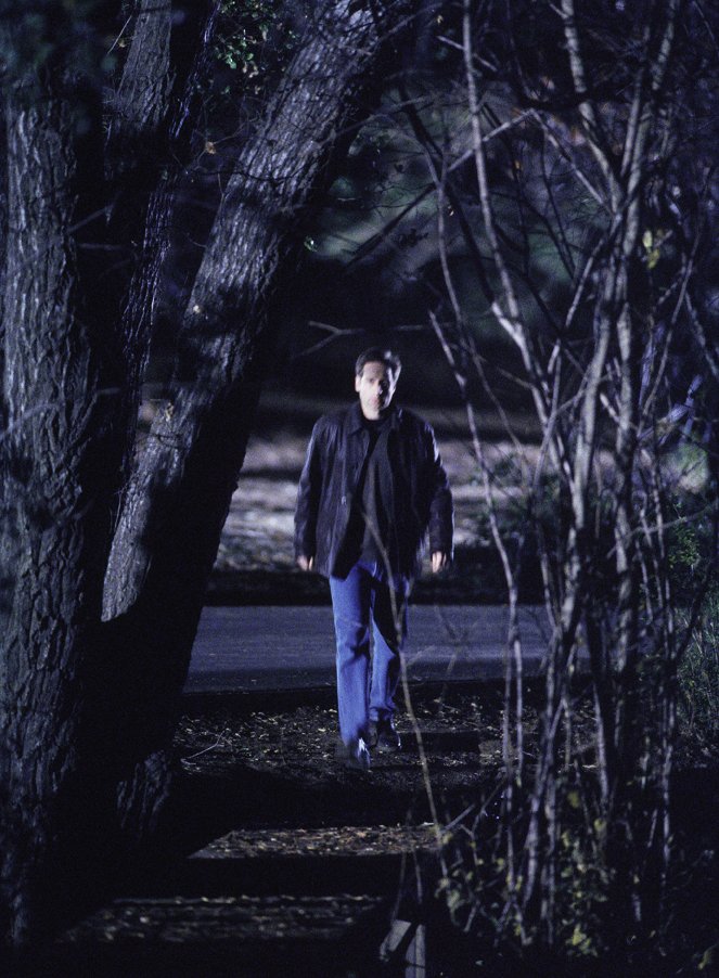 The X-Files - Closure - Van film - David Duchovny
