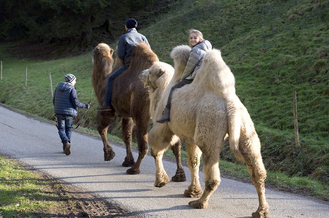 Tiere bis unters Dach - Geschenkter Gaul - Photos