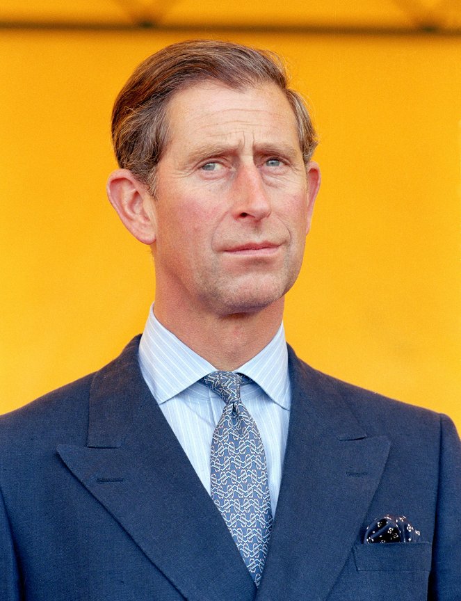 Diana: 7 Days That Shook the Windsors - De la película - Carlos III del Reino Unido