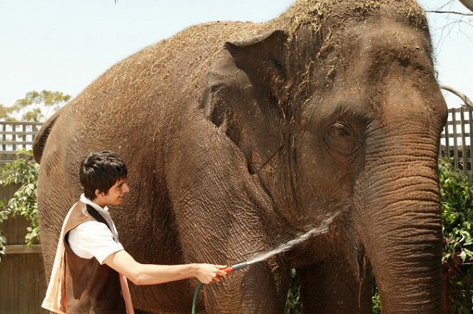 Elephant Princess - Die Rettung von Manjipoor - Filmfotos