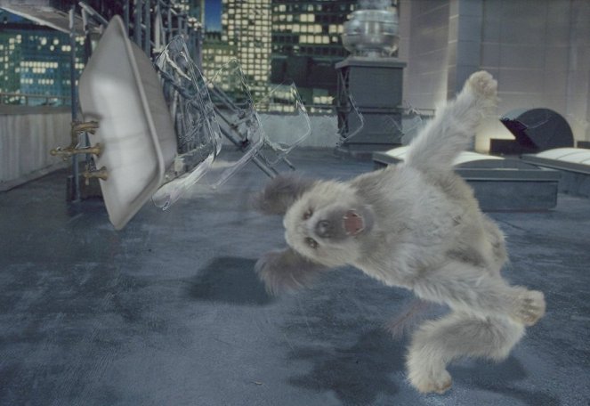The Karate Dog - Filmfotos