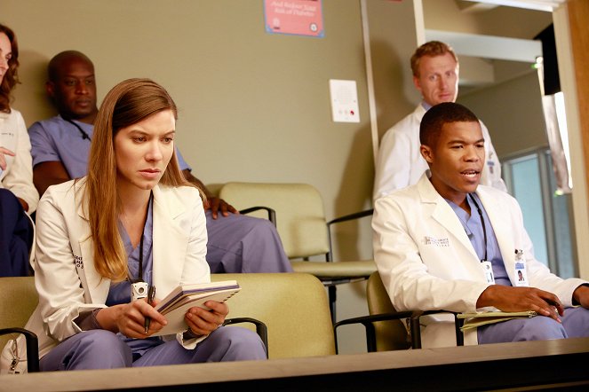 Grey's Anatomy - Season 9 - Love Turns You Upside Down - Photos - Tessa Ferrer, Kevin McKidd, Gaius Charles