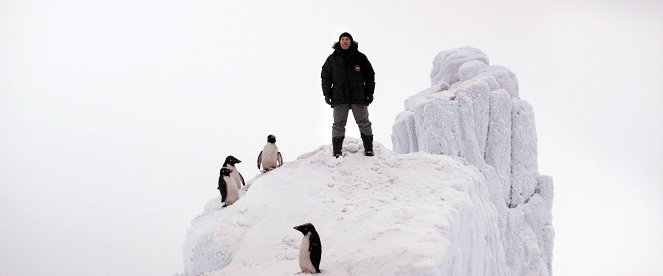 Pingwin naszych czasów - Z filmu