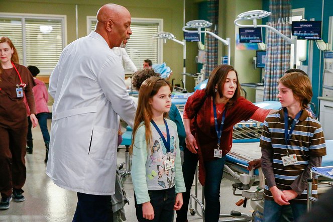 Grey's Anatomy - Die jungen Ärzte - Zukunftswünsche - Filmfotos - James Pickens Jr.