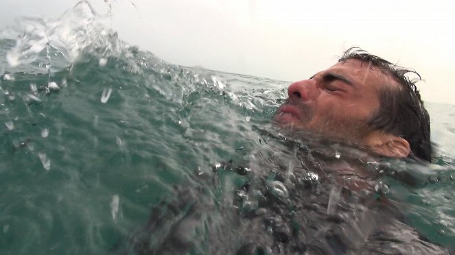 Open Water - Cage Dive - Filmfotos