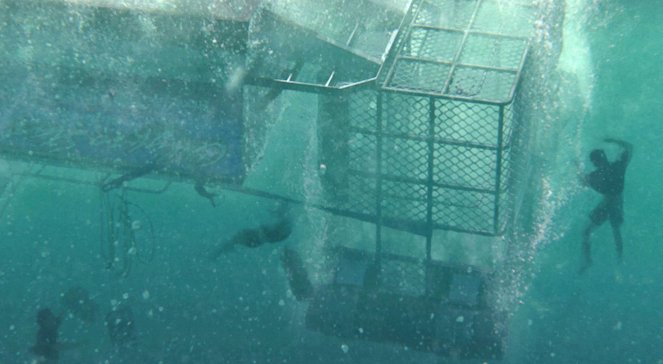 Open Water 3: Cage Dive - Photos