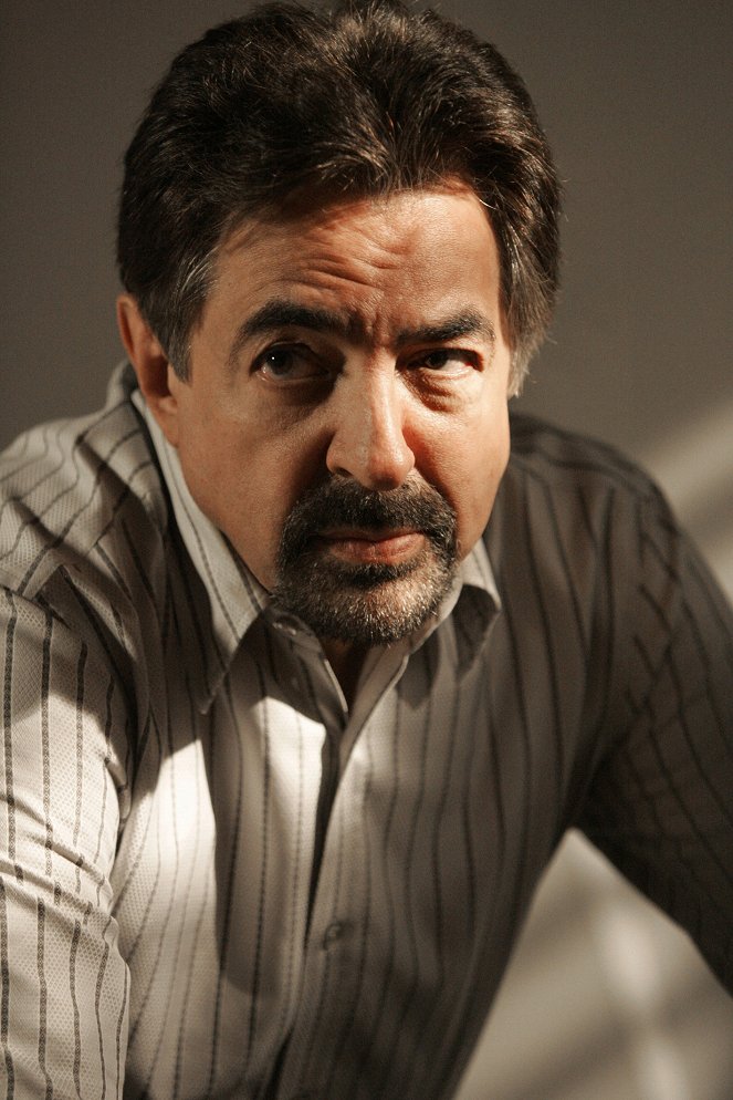 Mentes Criminosas - The Instincts - Do filme - Joe Mantegna