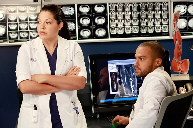 Grey's Anatomy - Season 9 - Run, Baby, Run - Photos - Sara Ramirez, Jesse Williams