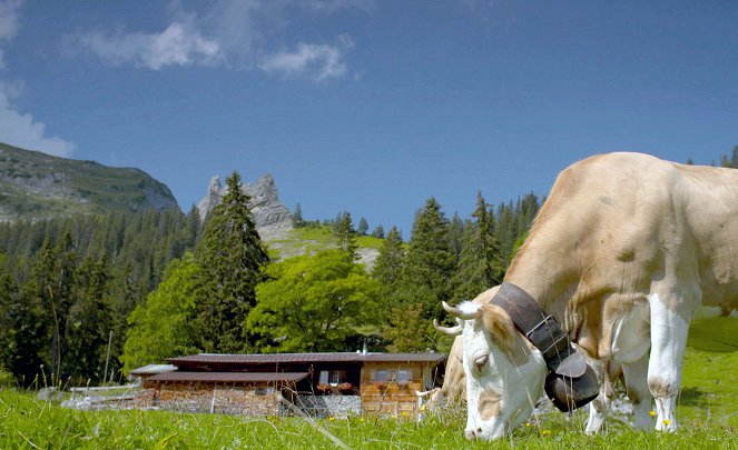 Die Grand Tour de Suisse - Kuvat elokuvasta