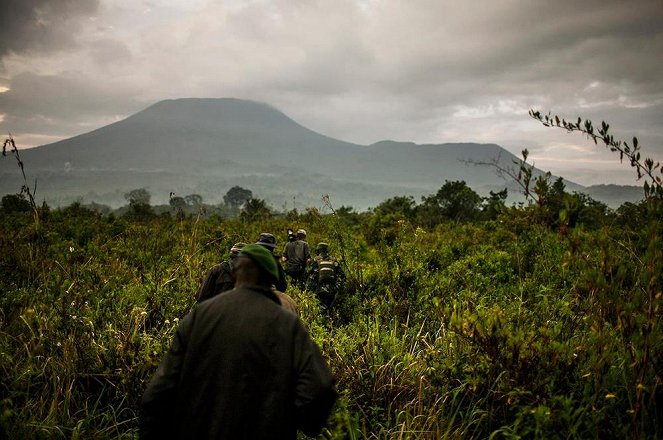 This Is Congo - Van film