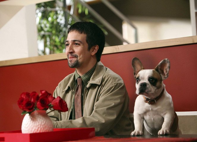 Współczesna rodzina - Dobry glina, zły pies - Z filmu - Lin-Manuel Miranda, Brigitte the Dog