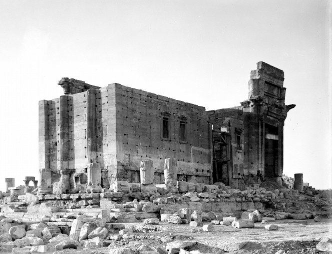 Terra X: Die Rettung Palmyras - Photos