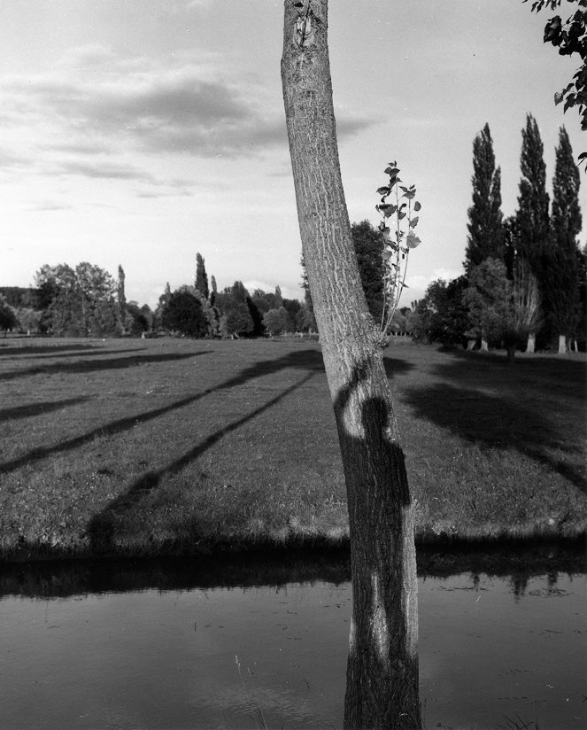 Robert Doisneau: Okouzlující bouřlivák - Z filmu