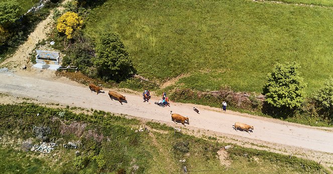 Camino on Wheels - Photos