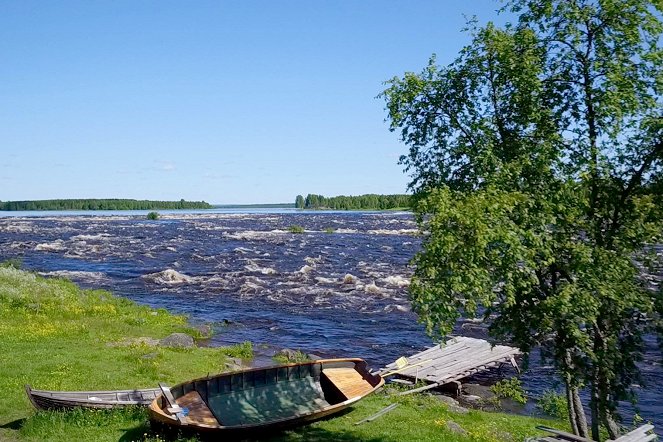 Wild Baltic Sea - Photos