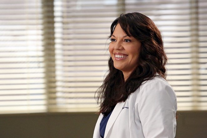 Grey's Anatomy - The End Is the Beginning Is the End - Photos - Sara Ramirez