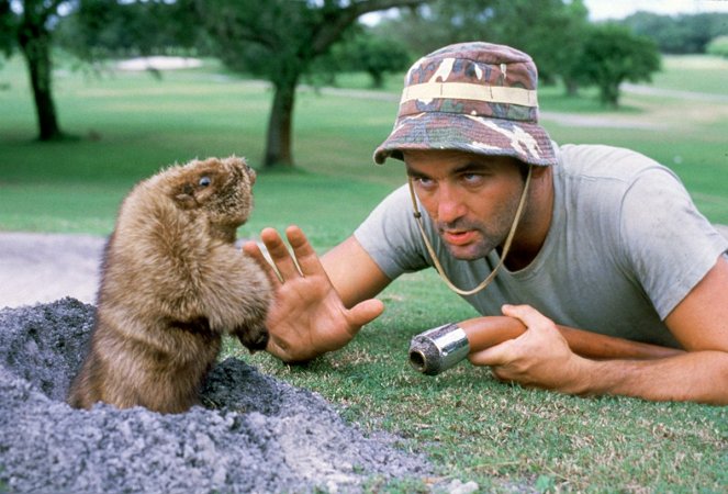 Golfőrültek - Filmfotók - Bill Murray