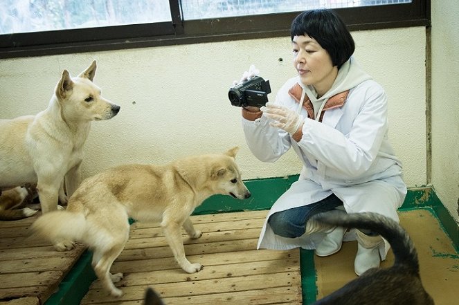 Inu ni namae o cukeru hi - Z filmu - Satomi Kobayashi