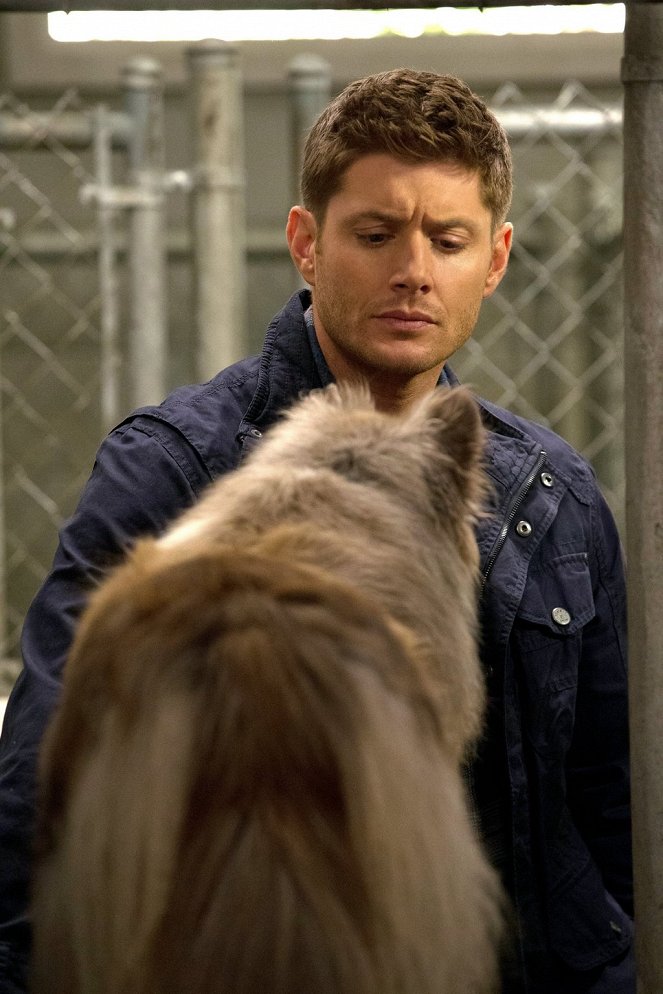 Supernatural - Dog Dean Afternoon - Photos - Jensen Ackles