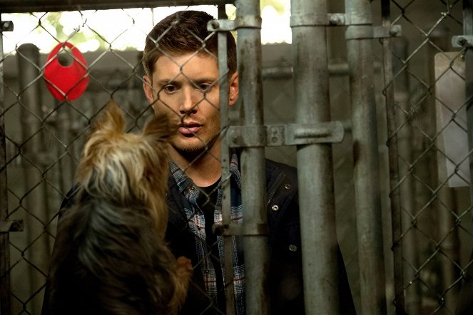 Supernatural - Dog Dean Afternoon - Van film - Jensen Ackles