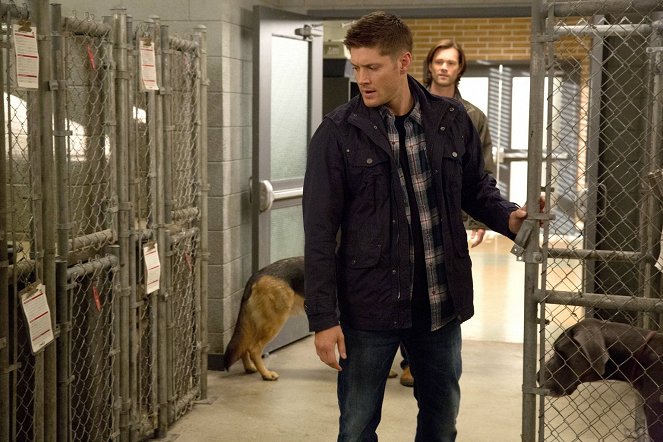 Supernatural - Dog Dean Afternoon - Van film - Jensen Ackles, Jared Padalecki