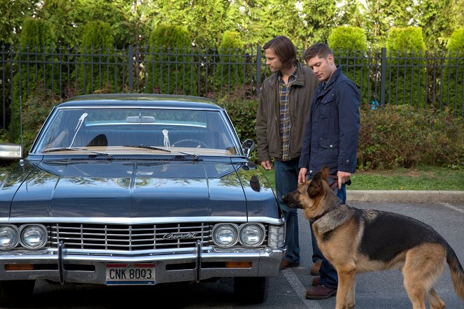 Supernatural - Hundstage - Filmfotos - Jared Padalecki, Jensen Ackles