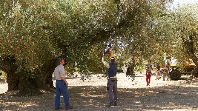 El Olivo - Der Olivenbaum - Filmfotos