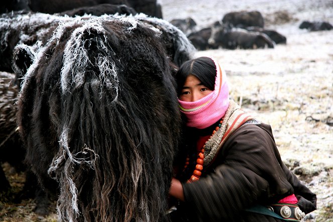 Tibet: Land of the Brave - Do filme