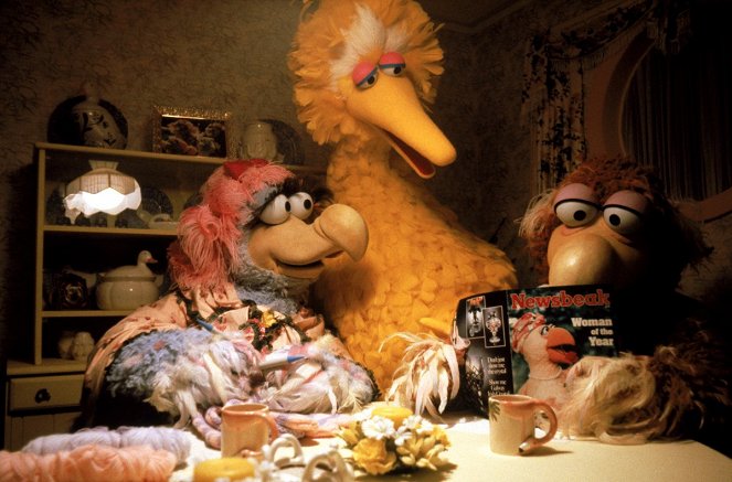 Sesame Street Presents: Follow That Bird - Kuvat elokuvasta
